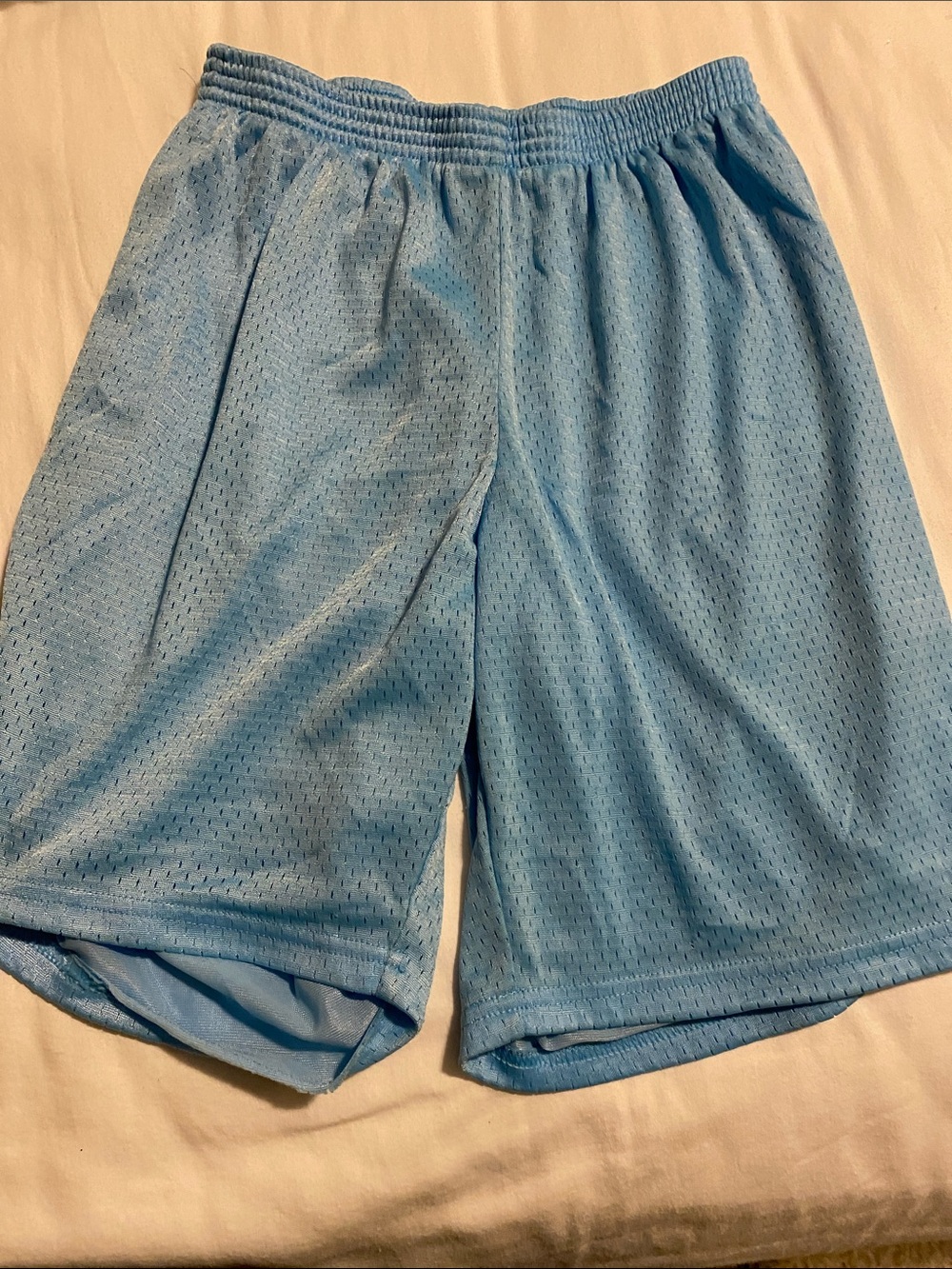 Champion Light Blue Men's Mesh Athletic Shorts